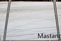 Mastang